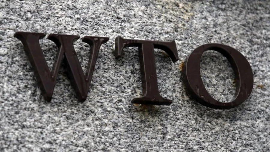 Ukraine's complaints to WTO against Poland, Hungary and Slovakia currently on hold