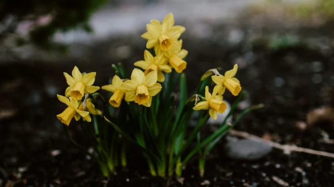 От марта можно ожидать всего: на выходных в Украине похолодает