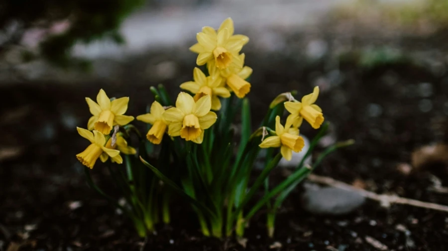 От марта можно ожидать всего: на выходных в Украине похолодает