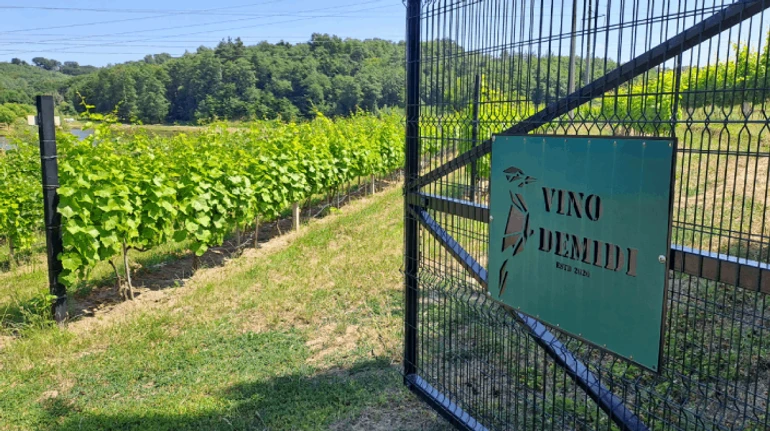 Винодельня Vino Demidi: как предприниматель из Киевщины превращает село в винный курорт