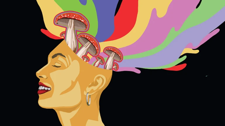 Тріп, але куди? Що таке мікродозинг грибів та чи може він стати альтернативою антидепресантам