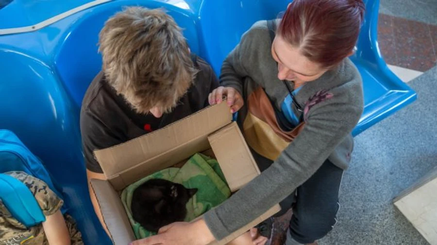 Over 300 children were taken out of Kherson Oblast during mandatory evacuation