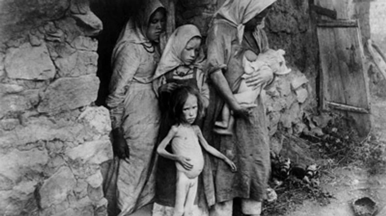 Осмислений рух до голодовбивства. Як Сталін йшов до великого переламу