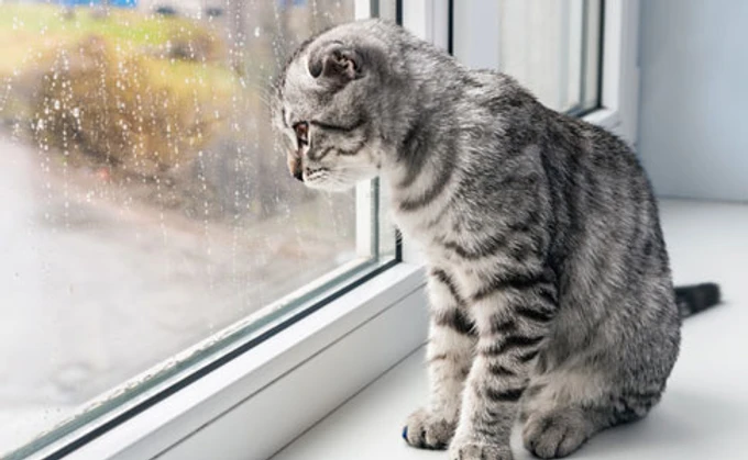 В Украине ожидают дождь, а на выходных и мороз