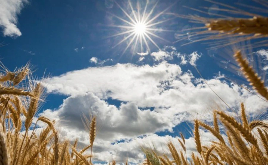 Тепло ще трохи затримається в Україні – синоптики