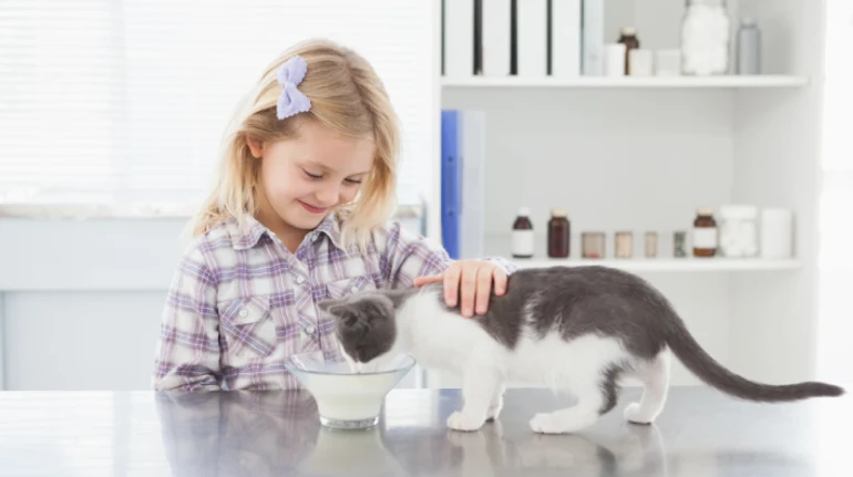Мам, давай заведемо котика: як зрозуміти, чи дитина готова до улюбленця