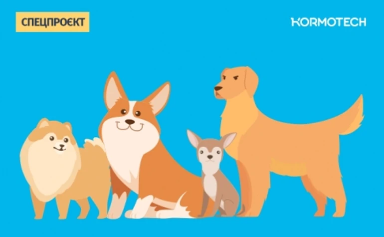 Что нужно знать о собаке, прежде чем ее заводить? Подкаст Лапы, уши, хвост