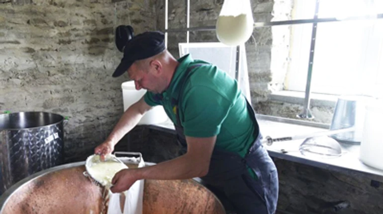 Эмменталь из Квасов. Как на Закарпатье возрождают производство столетних сыров времен Австро-Венгрии
