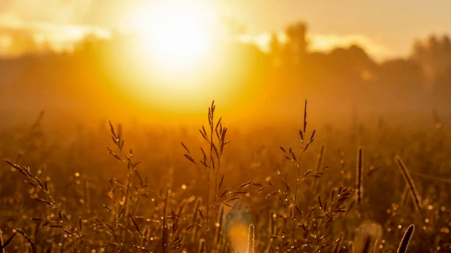 Июль 2021-го стал самым жарким месяцем из когда-либо фиксированных — ученые правительства США