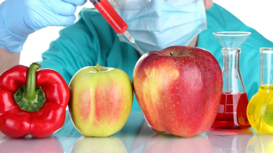 Кабмин одобрил евроинтеграционный законопроект об усилении контроля за ГМО