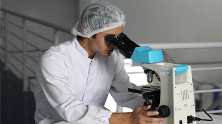 20 км в объятиях со спящим тигром и погрешность 1,33 мм, которую искали годами: смешные истории украинских ученых