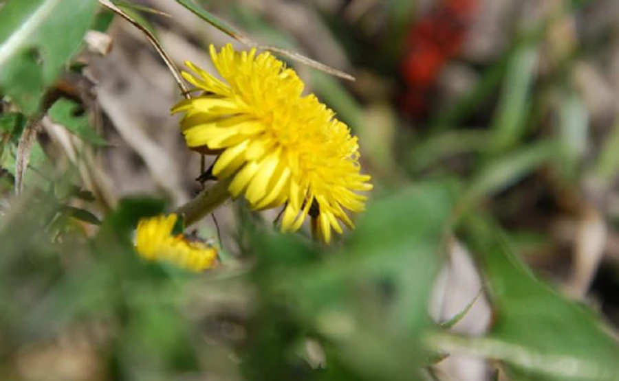 В Украину возвращается долгожданное тепло