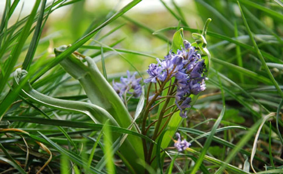 Весна в Киеве уже побила 7 температурных рекордов
