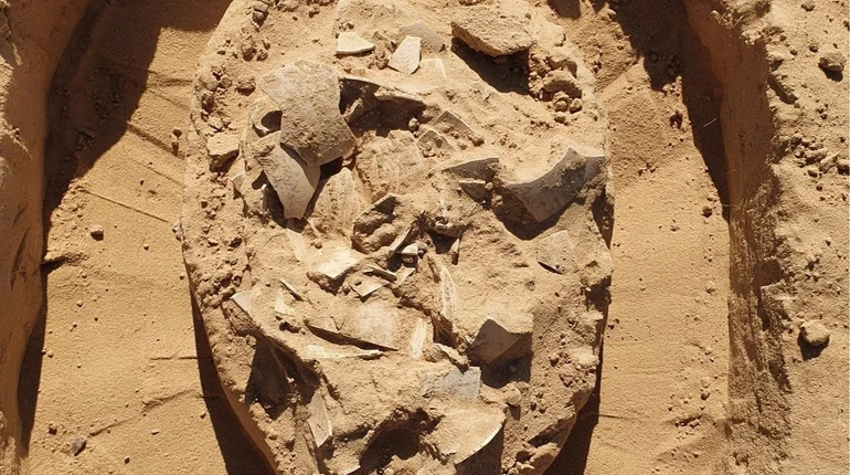 В Ізраїлі вчені виявили 7000-річну страву зі страусиних яєць