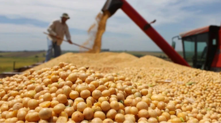 Мінекономіки змінює умови експорту сої та ріпаку