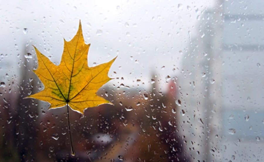 Частину України заллє дощами, на іншій триватиме квітневе диво