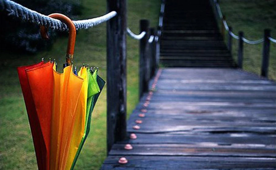 Початок тижня буде прохолодним і з дощами