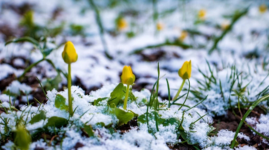 На Великдень прогнозують невеликий дощ і сніг