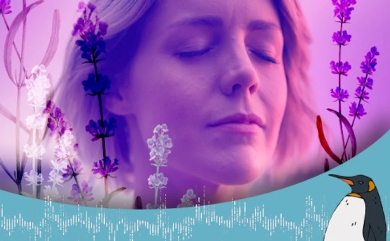 Не лише Арестович: дієві заспокійливі та інші методи опанувати себе в умовах війни