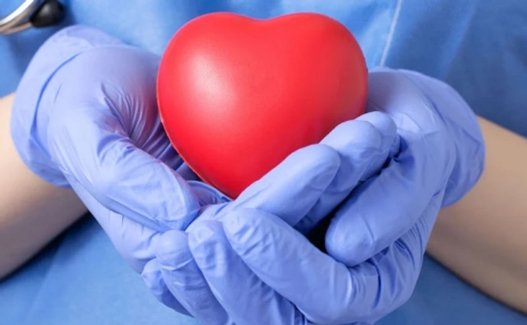 Донорство органов, переименование Владимир-Волынского и кое-что еще