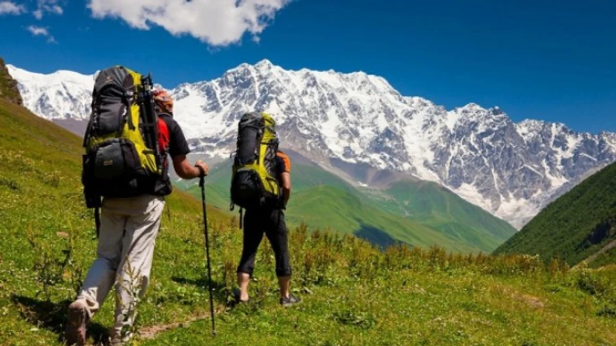 В уряді Грузії розраховують відкрити наземні кордони до літнього сезону