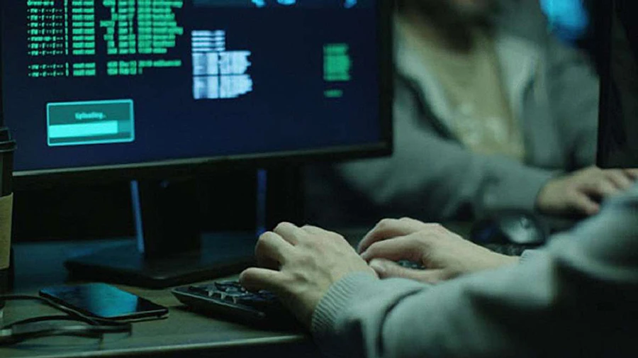 На одном из украинских курортов накрыли крупную ботоферму