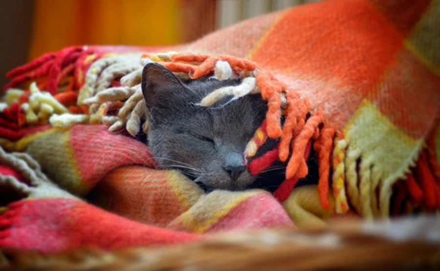 В Украину идет похолодание