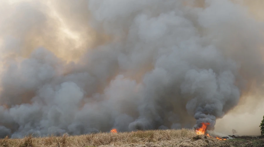 Scientists analyse air pollution changes in Ukraine caused by full-scale war
