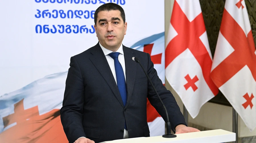 Спікер парламенту Грузії звинуватив Зеленського в невдячності