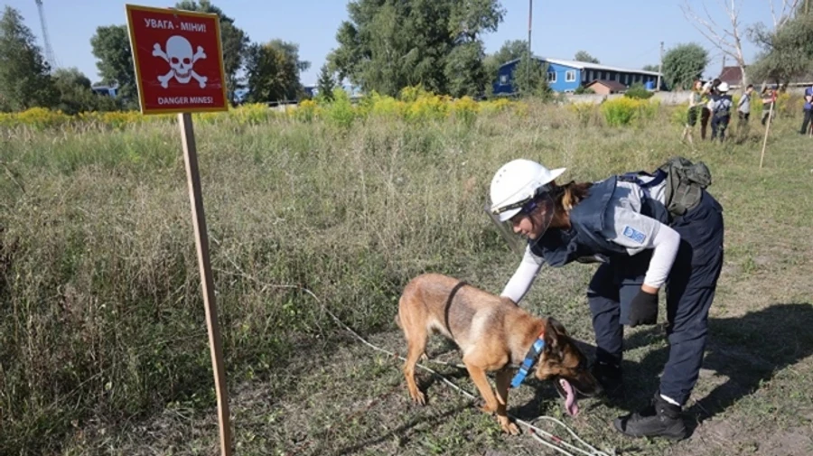Ukraine loses over US$11 billion annually due to mined areas, study shows