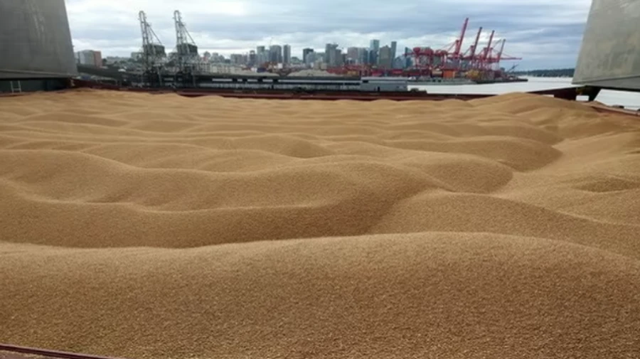 Russia takes out looted grain through Crimea and Mariupol