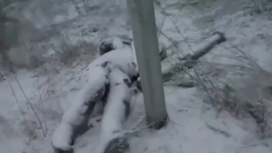 Where are the dead enemies?: Ministry of Defence explains why 12,000 have been frozen