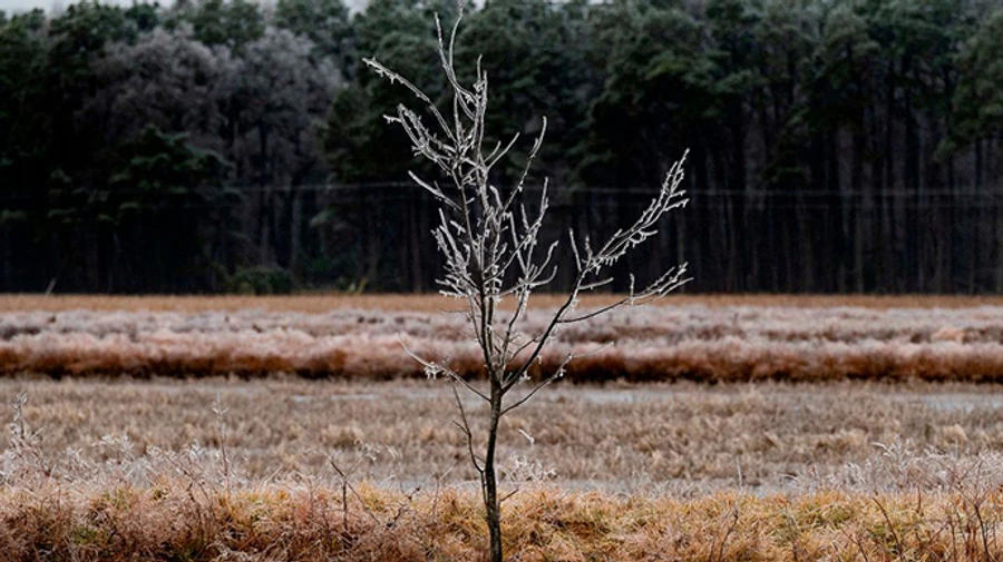 В Україну йде похолодання, вночі до 9° морозу