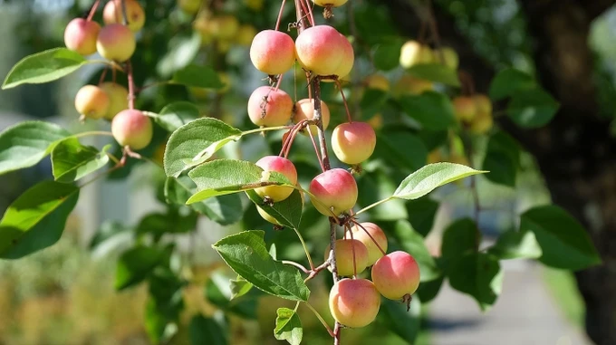 В Україні буде сухо і повернеться тепло