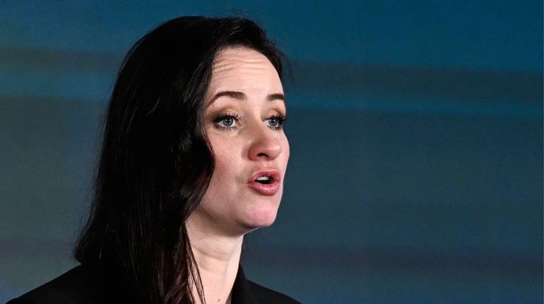 У Литві підтвердили, що на території країни впав український дрон