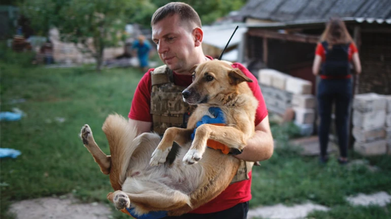 Подалі від війни. Як волонтери вивозять тварин із Бахмута