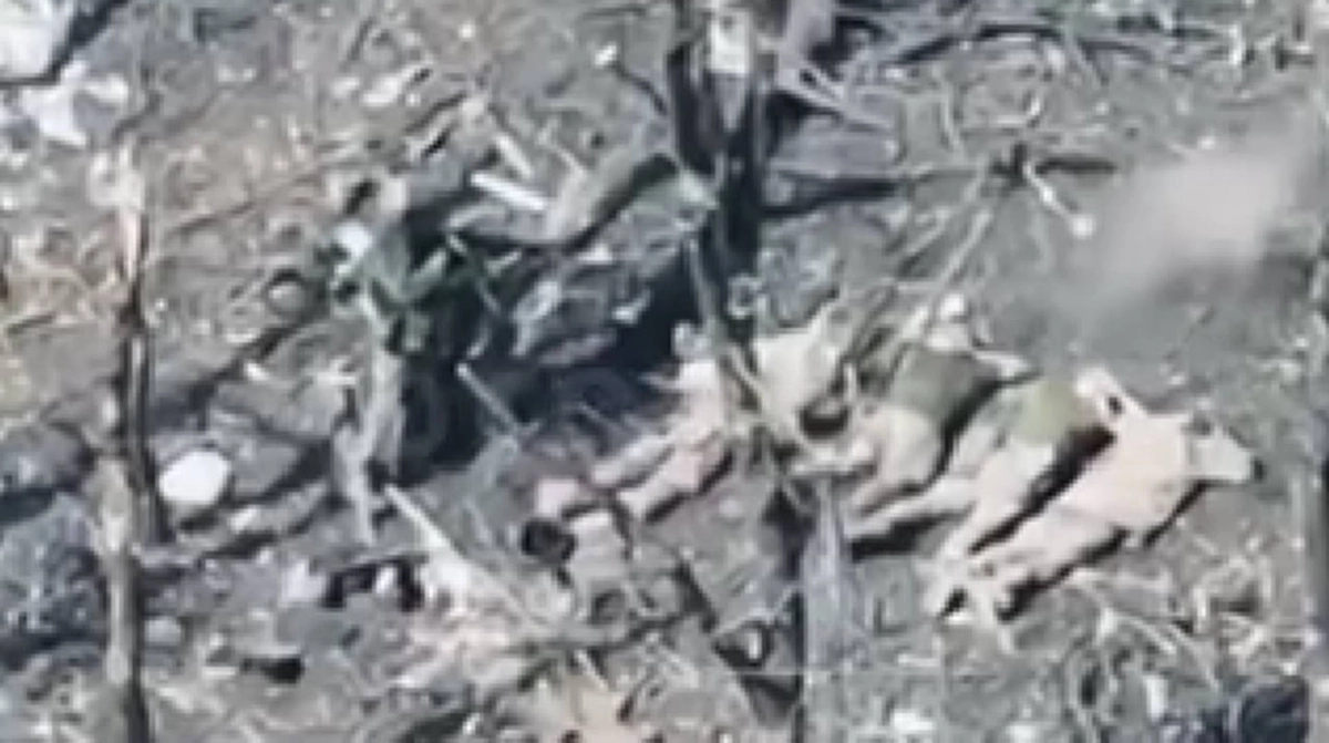 Russian forces execute five Ukrainian POWs in Pokrovsk district