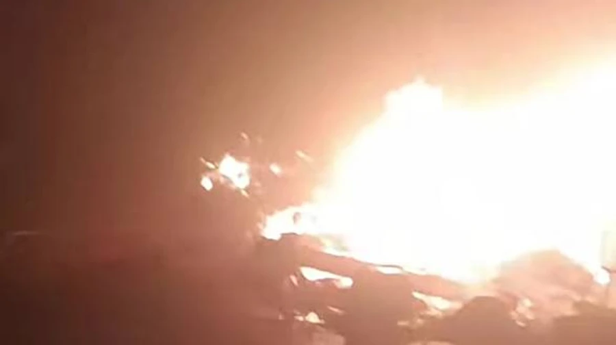 Russia strikes animal shelter in Odesa Oblast: 10 cats and 3 dogs killed – video