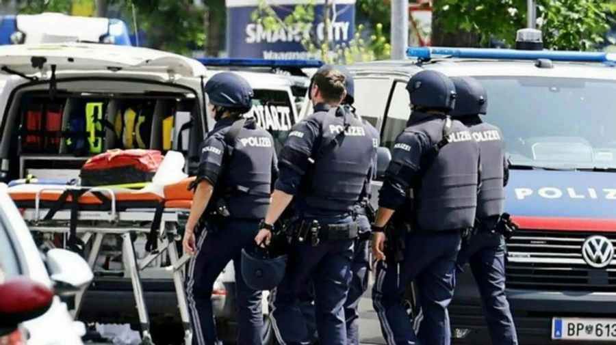 Девять человек погибли в результате стрельбы в одной из школ Австрии 