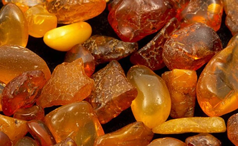 Президент підписав закон про бурштин