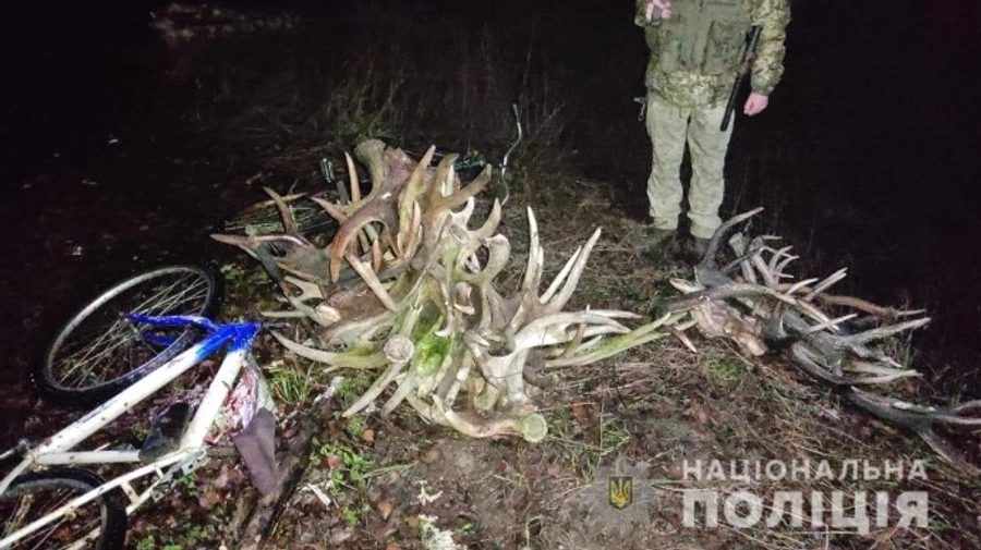 Сталкери-рецидивісти несли з Чорнобильської зони роги