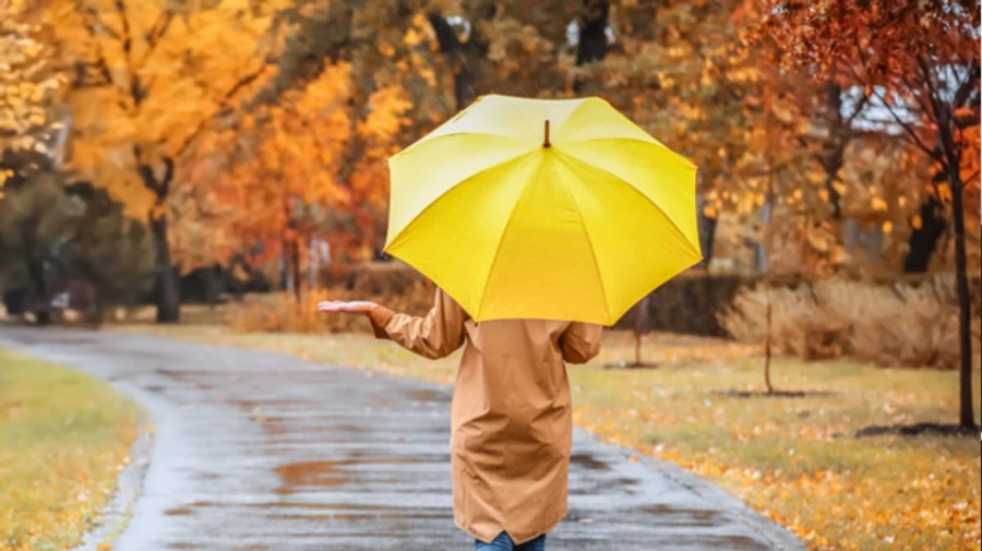 На вихідних буде тепло і дощі