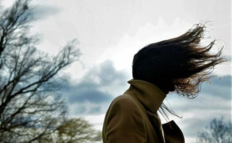 Киевлян предупреждают о сильном ветре