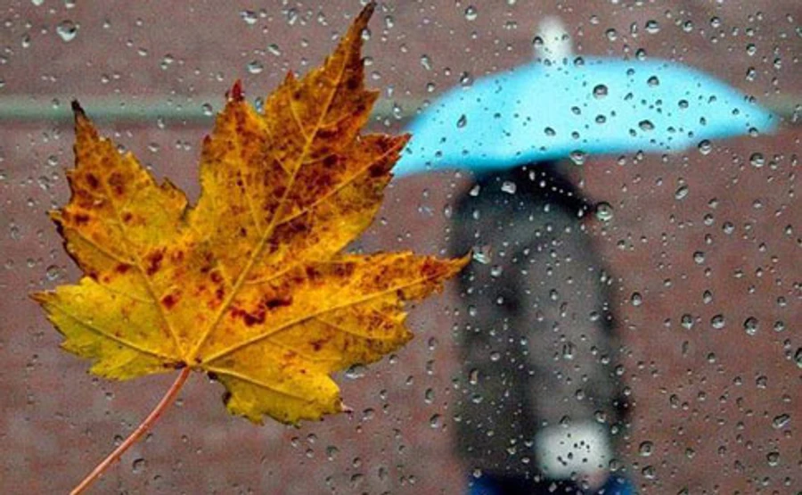 На Україну насуваються дощі