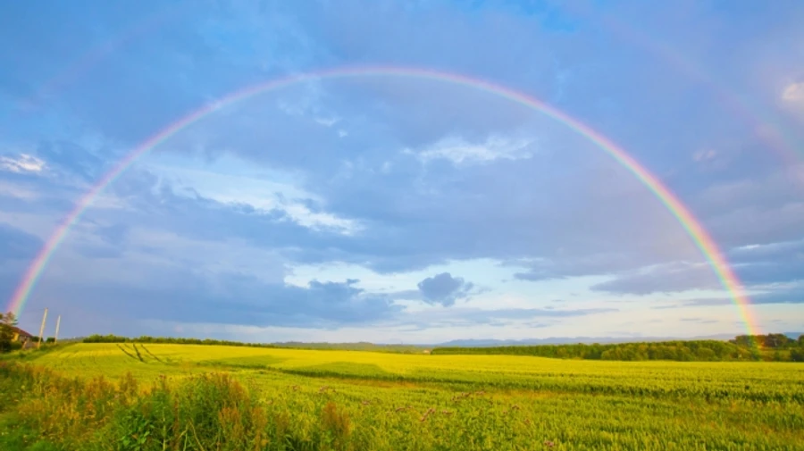 Дожди отступают из Украины – прогноз на два дня