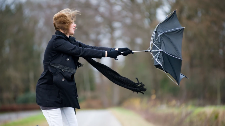 Stormy winds will blow in Ukraine: in Kyiv and the Carpathians - the first level of danger