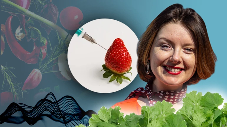 Как в весеннем сезоне поесть вкусно, полезно и с пользой для бюджета?