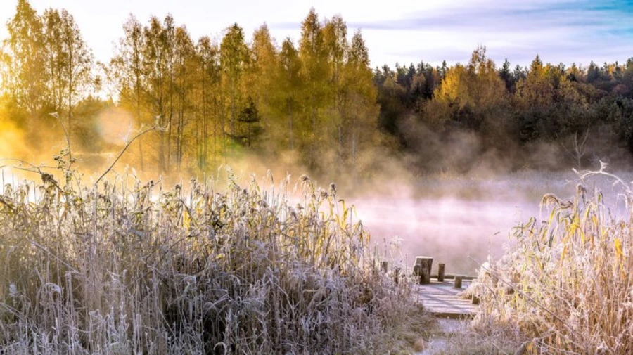 Погода: ночные заморозки уже близко