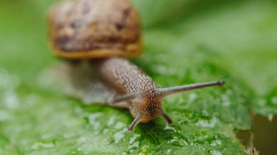 Жара уходит из Украины – прогноз