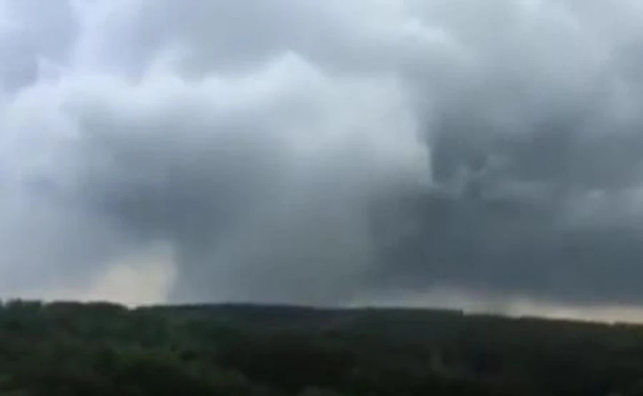 Над Буковиной пронесся смерч – сорвал крыши и вырвал деревья